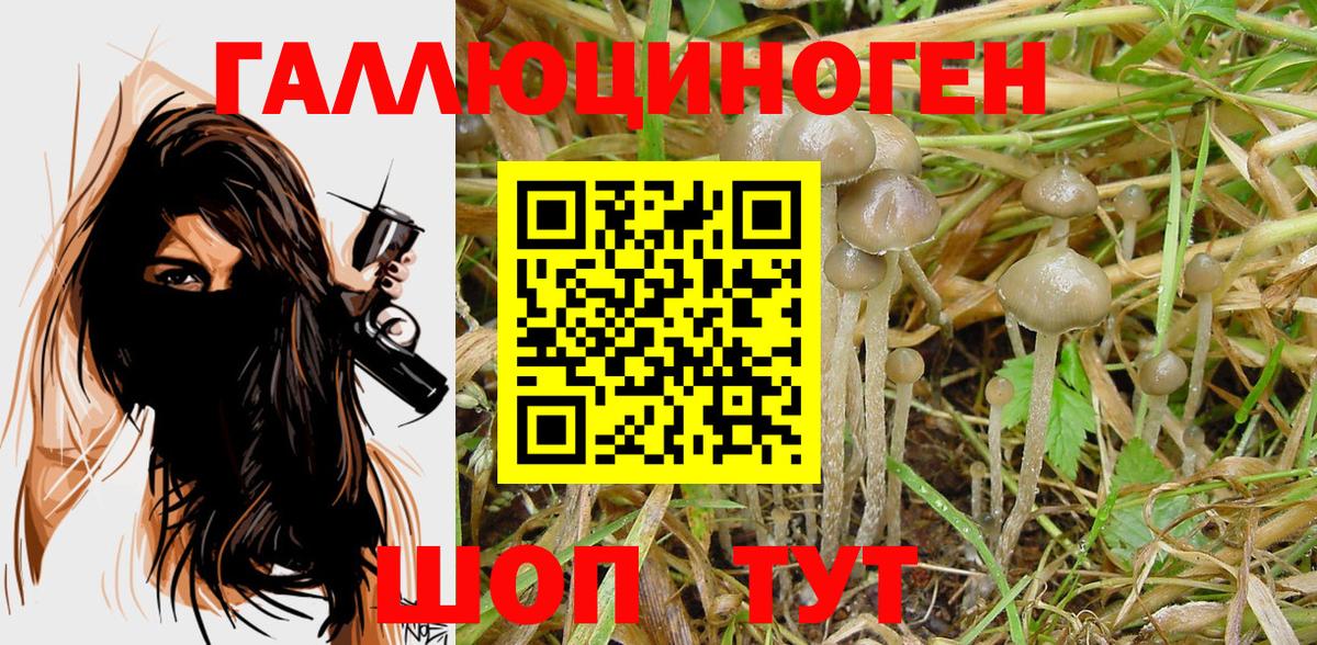 Жигулёвск  Псилоцибиновые грибы Magic Shrooms  Вход с VPN 